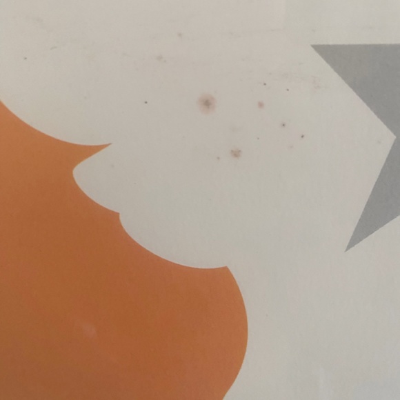 Atlanta Olympics 1996 (Special Edition Signed Silkscreen) - Centennial Olympic - Picture 4 of 4